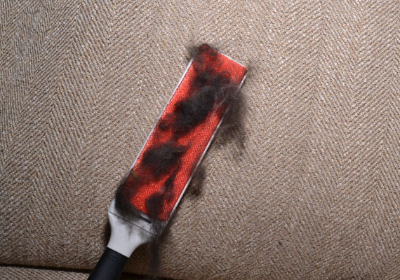 Cepillo para muebles Oxo Furlifter que elimina grandes grupos de pelo de perro negro y grueso del sof谩