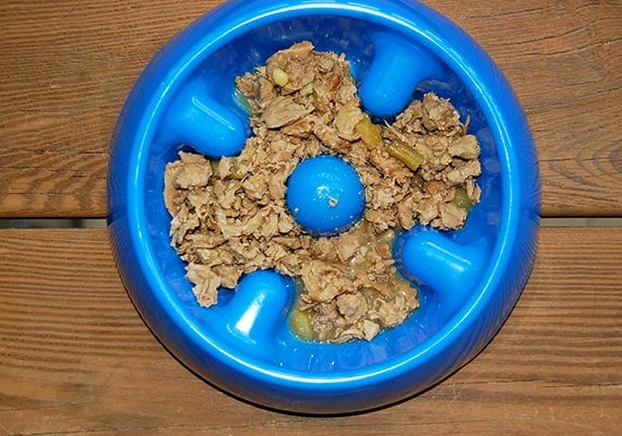 Cuenco para perros Blue Dogit Slow-Feed con comida hÃºmeda enlatada para perros en el interior