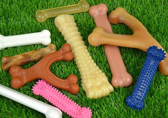 Algunos de los diferentes juguetes para masticar de nailon que probamos y revisamos de Benebone y Nylabone