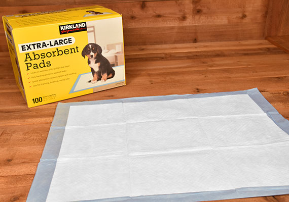 Almohadillas absorbentes extragrandes de Kirkland - Ganador de la mejor almohadilla para orinar grande para perros
