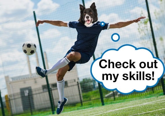 Border Collie cabeza de perro en el cuerpo del jugador de fÃºtbol pateando una pelota de fÃºtbol